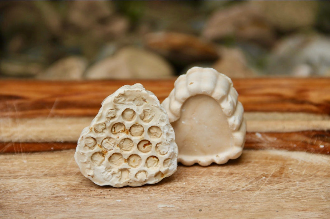 Honey Hearts